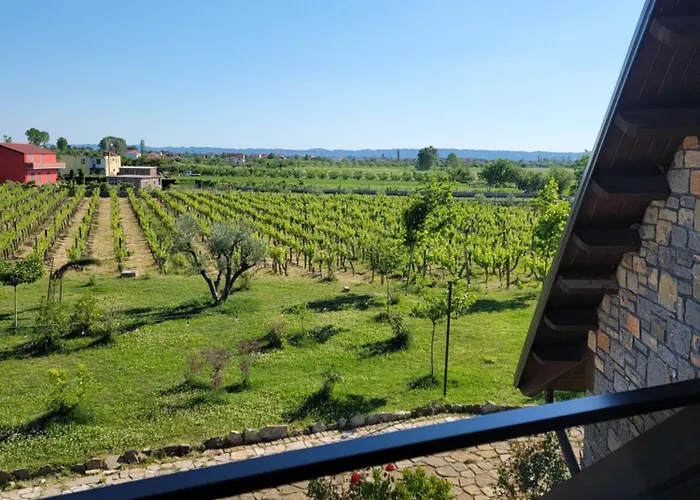 Lahuta E Vjeter Agroturizem