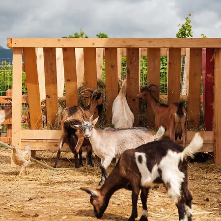 Hotel Lahuta E Vjeter Agroturizem 3*