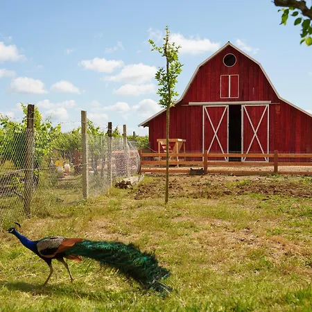 Отель Lahuta E Vjeter Agroturizem Lac