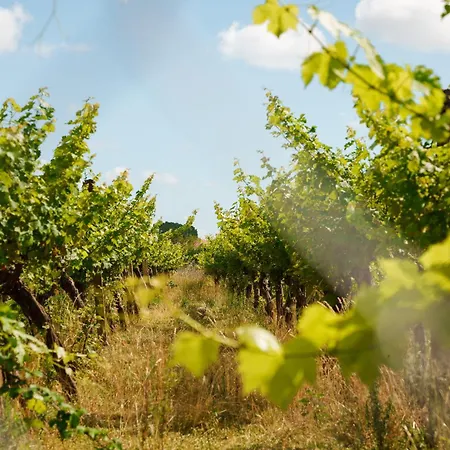 Lahuta E Vjeter Agroturizem