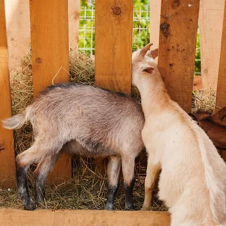 Lahuta E Vjeter Agroturizem